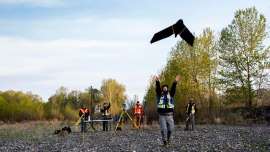 Les drones facilitent le travail des pompiers dans la lutte aux feux de forêt